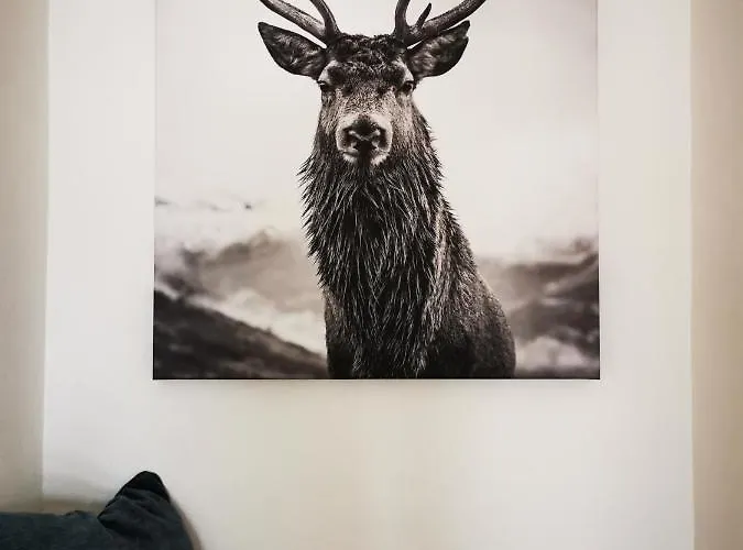 Διαμέρισμα Homberg Stuben Βίντερμπεργκ